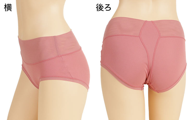 グンゼ 【3枚セット】アクティバランス レギュラーショーツ M~LL (GUNZE Tuche ショーツ 姿勢矯正 レギュラー 骨盤 吸汗速乾 メッシュ 通気性抜群) (在庫限り)