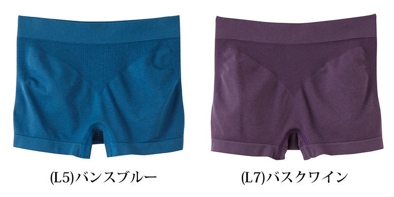 グンゼ レギュラーショーツ Tuche HIP PARADE 立体成型 M・L (GUNZE トゥシェ レディース 単品) 【在庫限り】