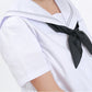 セーラー服 半袖 夏用 女子 制服 白 グレー2本ライン 150cmA～180cmA (夏服 学生服 中学校 中学生 Tiara) (送料無料) (取寄せ)