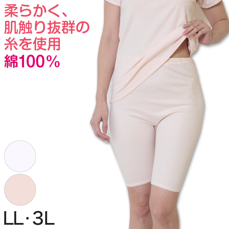 デミアン 綿100% コーマ糸使用 5分長ズロース LL・3L (レディース 婦人 インナー 下着 綿 コットン 吸湿 日本製 大きいサイズ ズボン下 5分丈 ズロース) (婦人肌着)