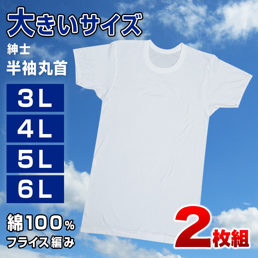 メンズ 半袖 tシャツ 大きいサイズ 綿100% クルーネック 2枚組 3L～6L 下着 シャツ 男性 丸首 白 無地 肌着 インナー インナーウェア 3l 4l 5l 6l