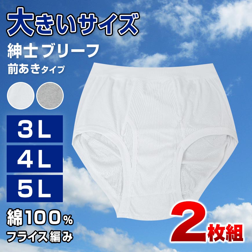 ブリーフ 綿100% 大きいサイズ 2枚組 3L～5L (メンズ 下着 パンツ 綿 ゆったり インナー 白 グレー) – すててこねっと本店