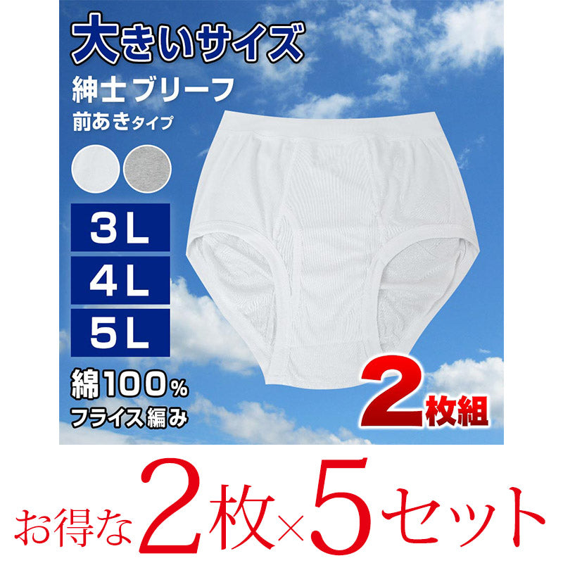 ブリーフ 綿100% 大きいサイズ 2枚組×5セット 3L 4L 5L 前あき メンズ 下着 コットン ゆったり 白 グレー 3l 4l 5l 肌着 ビッグサイズ ブリーフ パンツ 白 灰色 グレー