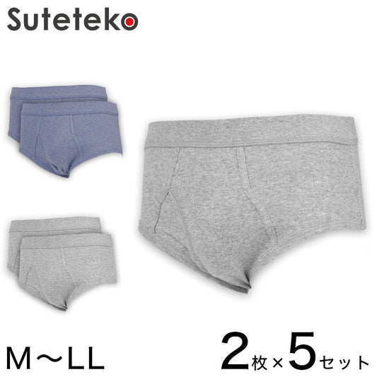 抗菌防臭加工 フライス天スパンブリーフ 2枚組×5セット M～LL (綿100% メンズ 男性 紳士 下着 肌着 インナー オールシーズン ベーシック) (在庫限り)
