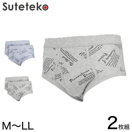 抗菌防臭加工 リブプリント天スパンブリーフ 2枚組 (M～LL)(綿100% メンズ 男性 紳士 下着 肌着 インナー オールシーズン ベーシック)三和 (在庫限り)