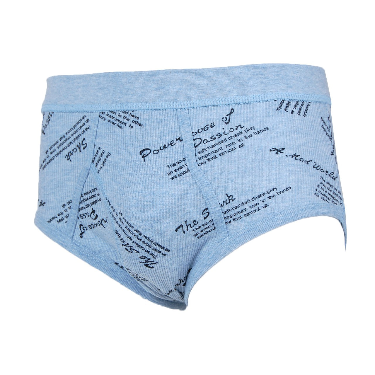 抗菌防臭加工 リブプリント天スパンブリーフ 2枚組×5セット M～LL (綿100% メンズ 男性 紳士 下着 肌着 インナー オールシーズン ベーシック) (在庫限り)