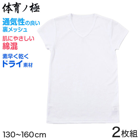 体育ノ極 下着 男の子 半袖 綿混 2枚組 130cm～160cm (子供 肌着 キッズ インナー 小学生 Tシャツ Vネック 白 無地 メッシュ 体育の極 130 140 150 160) (在庫限り)