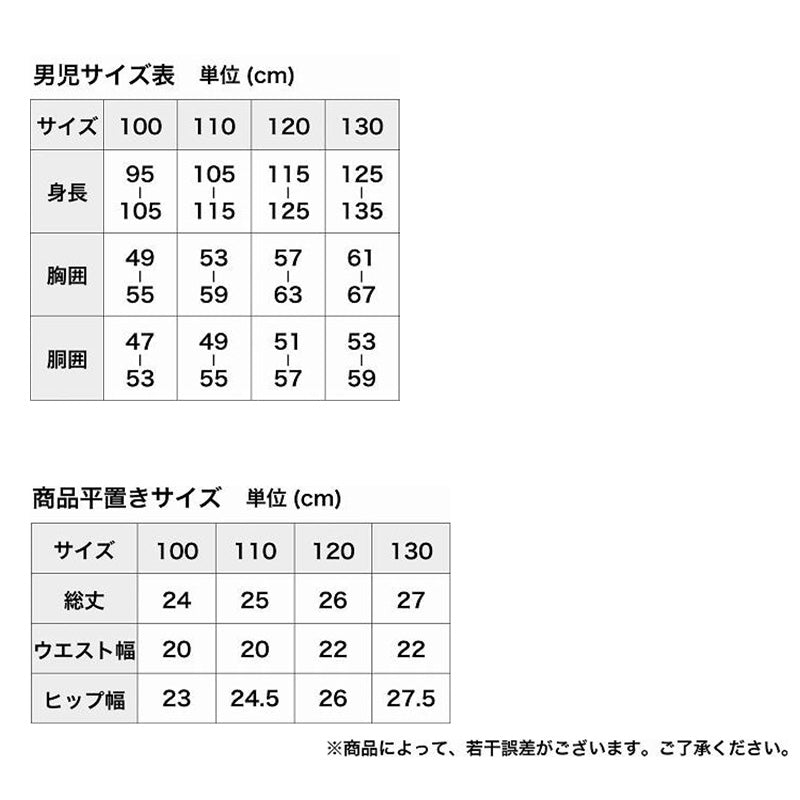 男児 ブリーフ キッズ 男の子 下着 パンツ 2枚組 100cm～130cm 子供 インナー 恐竜 車 男子 小学生 幼稚園 保育園 プレゼント 100 110 120 130 (在庫限り)