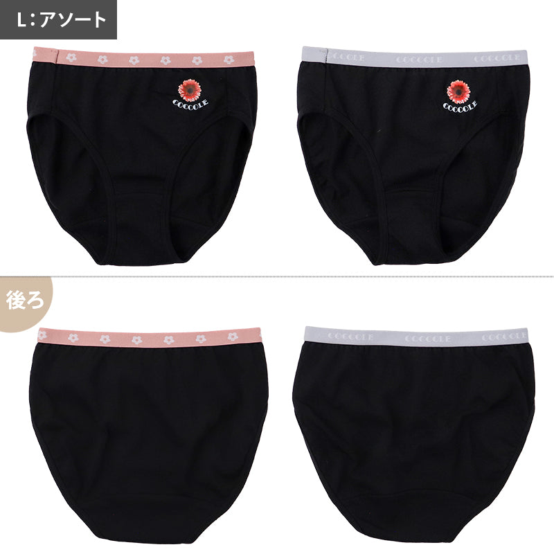 ジュニア ショーツ 女の子 女児 2枚組 キッズ インナー パンツ ガールズ 下着 140 150 160 165 cm 綿混 ストレッチ シンプル 通学 部活 小学生 中学生 無地 セット 女児 子供用 2P