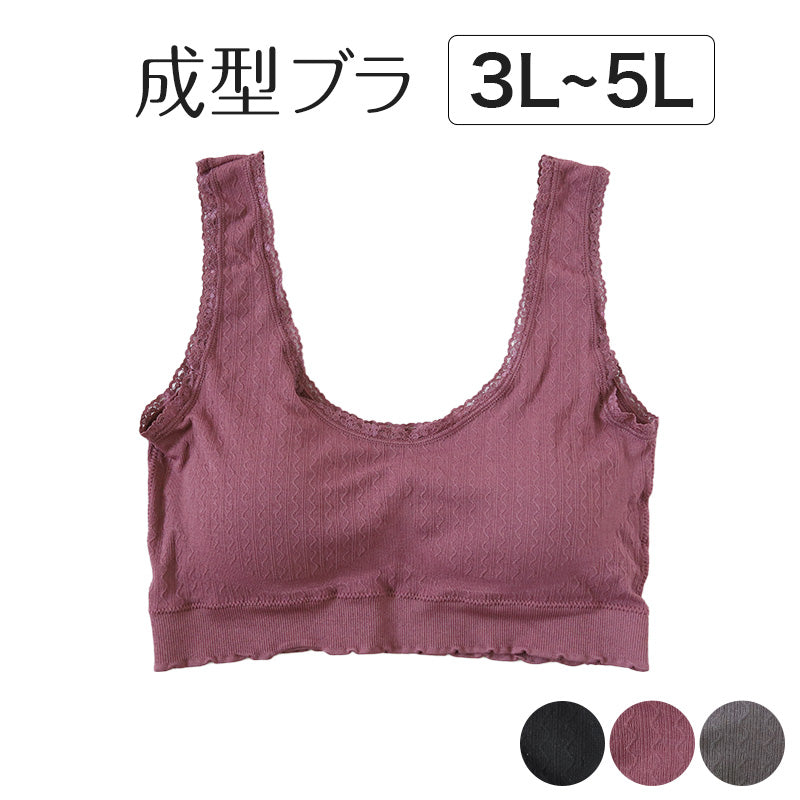 ノンワイヤーブラ ブラジャー ノンワイヤー 成型ブラ ハーフトップ ブラ レディース 大きいサイズ 3L～5L ハーフトップブラ 下着 女性 インナー ひびきにくい 楽 ワイヤー無し 響きにくい 無地 シンプル 3L 4L 5L プラスサイズ (在庫限り)