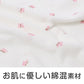 女児 インナー キャミソール 綿100% メッシュ キッズ インナーシャツ ガールズ 肌着 2枚組 110 120 130 cm 通気性 吸汗 涼しい 夏用 子供 下着 通学 小学生 シンプル セット ノースリーブ ジュニア 女の子