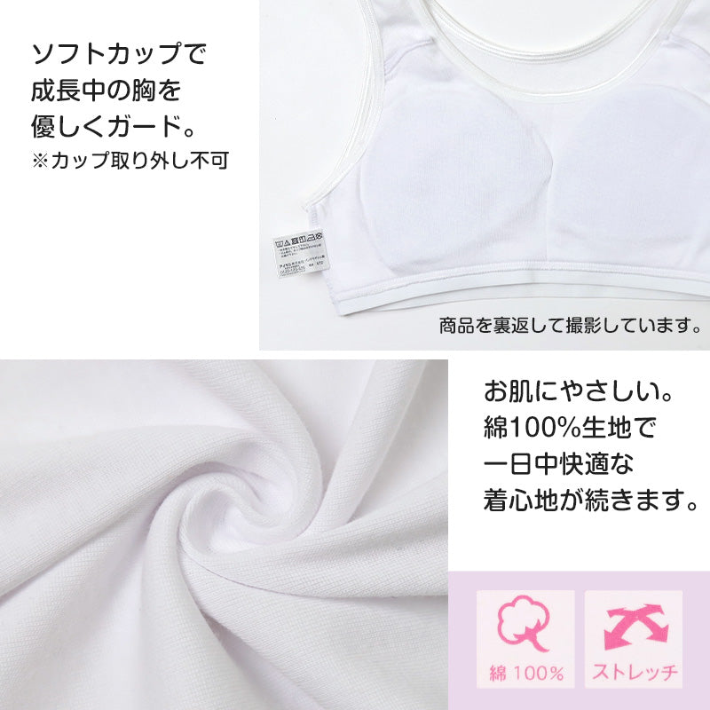 綿100% ハーフトップ ジュニア カップ付き インナー 140cm 150cm 160cm 女の子 スクール 小学生 中学生 子供 下着 キッズ ホック無し ノンワイヤー シンプル ガールズ コットン 綿 伸縮 ストレッチ ファーストブラ