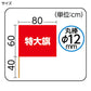 特大旗 フラッグ カラーフラッグ 旗 キッズ 80×60cm 大旗 ポリエステル 演技用 ダンス用 集団行動 運動会 体育祭 イベント 応援 手旗 学校 幼稚園 保育園 カラー豊富 目立つ 安い 発表会 チーム (取寄せ)