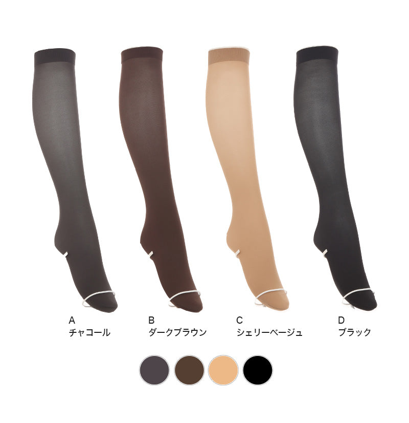 タイツ アツギ 発熱タイツ アツギタイツ 60デニール ATSUGI TIGHTS ひざ下丈タイツ 2足組 22-25cm 靴下 ソックス レディース ATSUGI 暖かい 温かい あたたかい あったかい 防寒対策 (在庫限り)