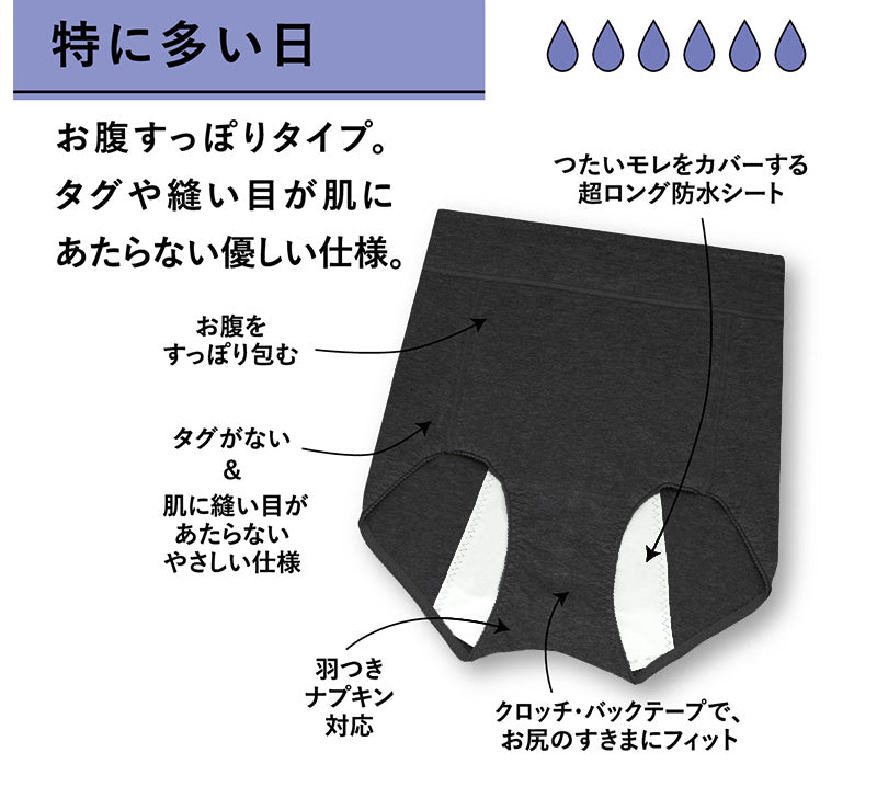 アツギ サニタリーショーツ 深め アツギ 深ばき 夜用 M・L (SheFree 生理用パンツ ショーツ 生理用ショーツ 羽つき 深ばきショーツ お腹 サニタリー インナー 肌着 婦人 下着 婦人下着) (在庫限り)