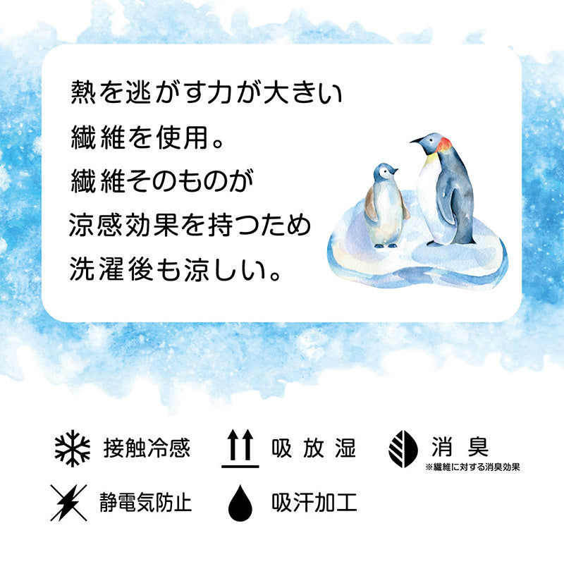 ソックス ひざ下丈 ショートソックス レディース 靴下 サマーソックス アツギ 冷やしソックスはじめました 持続冷感 22-25cm (冷感 UV対策) (在庫限り)