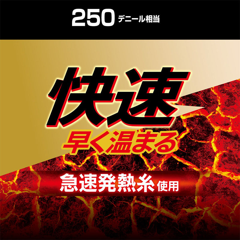 発熱タイツ レディース タイツ ホカロン つま先二重編み あたたかい あったかい 防寒 250デニール M-L L-LL 暖かい 吸湿発熱 アツギ 黒 atsugi 冬 秋 寒さ対策 (在庫限り)