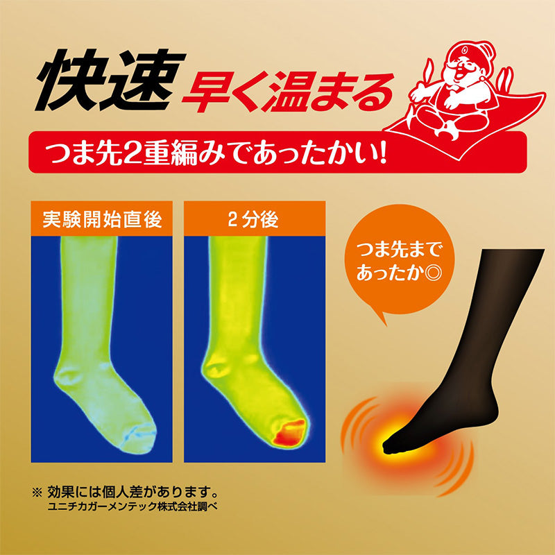 発熱タイツ レディース タイツ ホカロン つま先二重編み あたたかい あったかい 防寒 250デニール M-L L-LL 暖かい 吸湿発熱 アツギ 黒 atsugi 冬 秋 寒さ対策 (在庫限り)