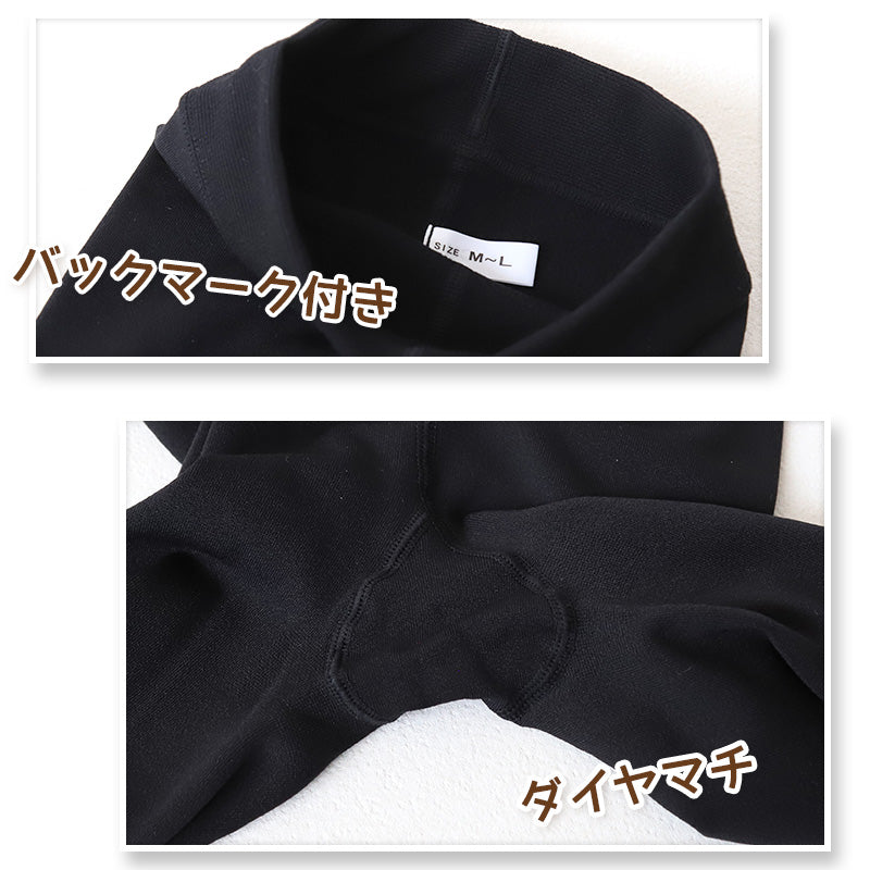 タイツ 裏起毛 発熱タイツ レディース 裏起毛タイツ ホカロン あたたかい あったかい 防寒 160デニール M-L L-LL 暖かい 保温 アツギ 黒 atsugi 冬 秋 寒さ対策 (在庫限り)