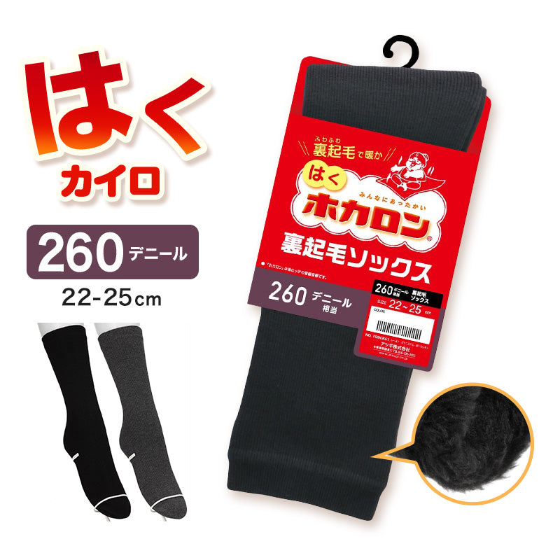 レディース クルーソックス 裏起毛 靴下 ソックス クルー丈 ホカロン あたたかい あったかい 防寒 260デニール相当 22-25cm 暖かい 保温 アツギ 黒 atsugi 冬 秋 寒さ対策