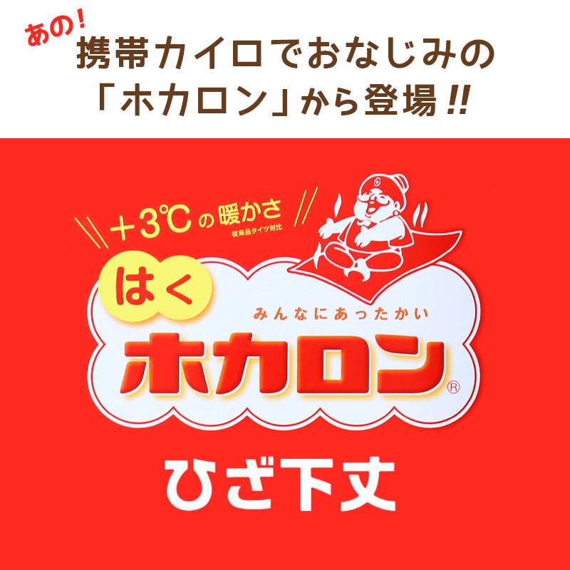 レディース ハイソックス 靴下 ひざ下 2足組 ソックス ひざ下丈 ホカロン あたたかい あったかい 防寒 110デニール 22-25cm 暖かい 蓄熱 アツギ 黒 atsugi 冬 秋 寒さ対策 2p