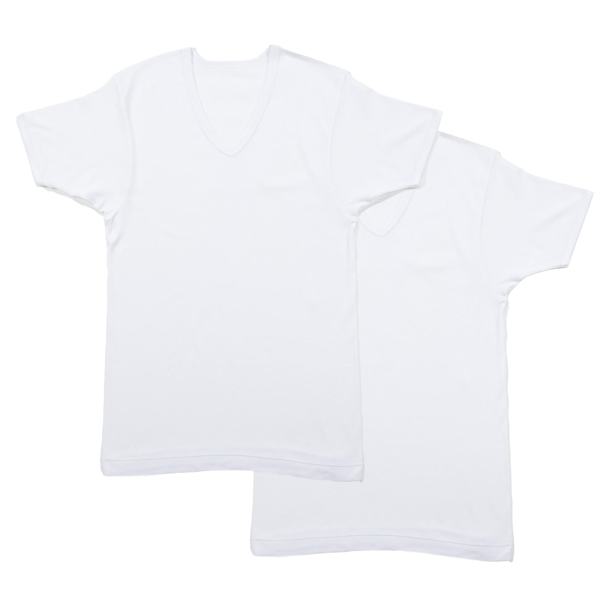 メンズ 半袖 綿100% V首 インナー tシャツ 2枚組 アツギ 半袖シャツ vネック コットン 綿 肌に優しい M L LL 敏感肌 紳士 肌着 下着 男 アンダーウェア まとめ買い