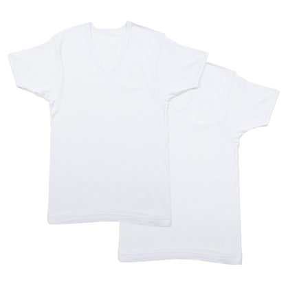 メンズ 半袖 綿100% V首 インナー tシャツ 2枚組 アツギ 半袖シャツ vネック コットン 綿 肌に優しい M L LL 敏感肌 紳士 肌着 下着 男 アンダーウェア まとめ買い