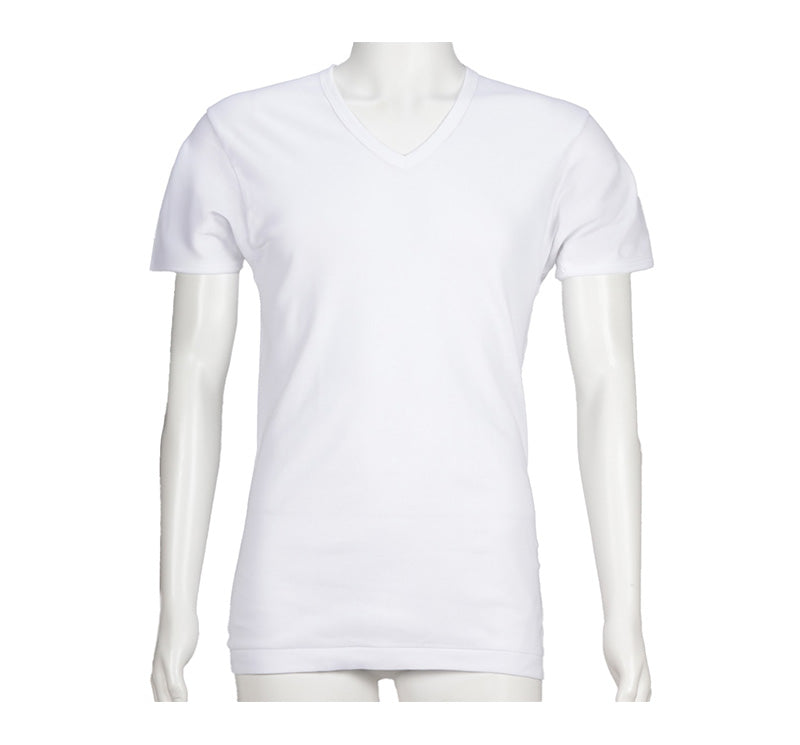 メンズ 半袖 綿100% V首 インナー tシャツ 2枚組 アツギ 半袖シャツ vネック コットン 綿 肌に優しい M L LL 敏感肌 紳士 肌着 下着 男 アンダーウェア まとめ買い