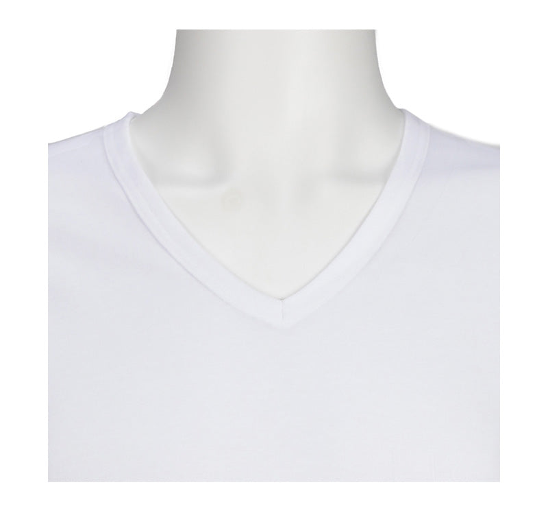 メンズ 半袖 綿100% V首 インナー tシャツ 2枚組 アツギ 半袖シャツ vネック コットン 綿 肌に優しい M L LL 敏感肌 紳士 肌着 下着 男 アンダーウェア まとめ買い