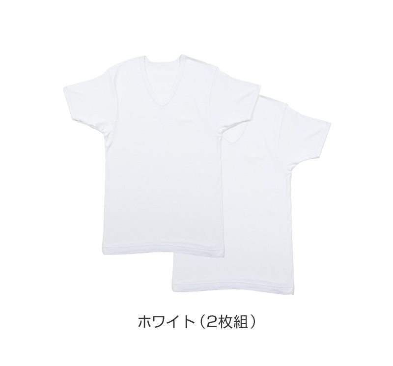 メンズ 半袖 綿100% V首 インナー tシャツ 2枚組 アツギ 半袖シャツ vネック コットン 綿 肌に優しい M L LL 敏感肌 紳士 肌着 下着 男 アンダーウェア まとめ買い