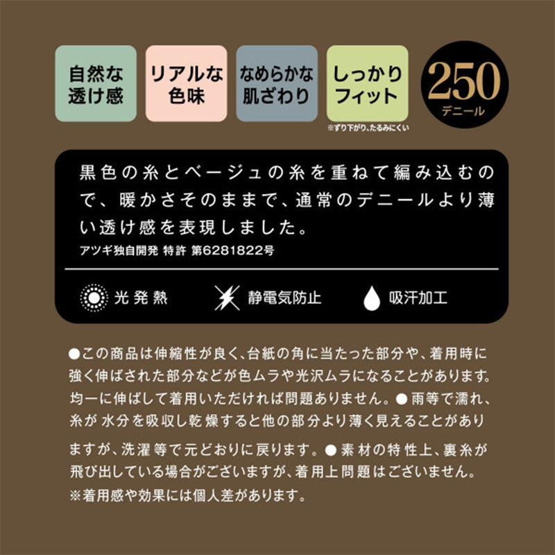 フェイクタイツ レディース 250デニール 厚手 裏ベージュ 透け感 防寒 あったか 光発熱 吸汗 静電気防止 M-L L-LL ヌードトウ 消臭 黒原着ナイロン 薄手見え 素肌感 プレーティング編み フィット 伸縮性 冬 タイツ 通勤 通学 制服 スカート ワンピ