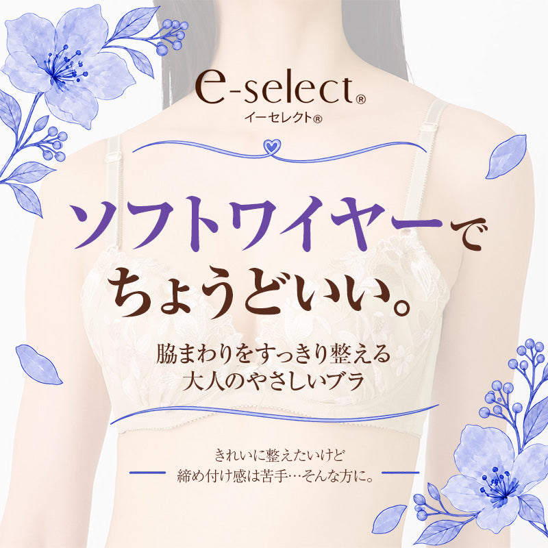 レディース ブラジャー 大きめサイズ 脇高 ソフトワイヤー パッド入り 取り外しパッド 吸汗速乾 カップ裏メッシュ ワイヤーブラ D70 D75 D80 D85 E70 E75 E80 E85 チュールレース 4列ホック ポリエステル2WAY 脇上折返し 脇すっきり シルエット