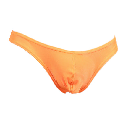 Tバック ビキニブリーフ セクシー メンズ M～3L (M L LL 3L 大きいサイズ ブリーフ 下着 男性 ビズフィット Bizfit) (在庫限り)