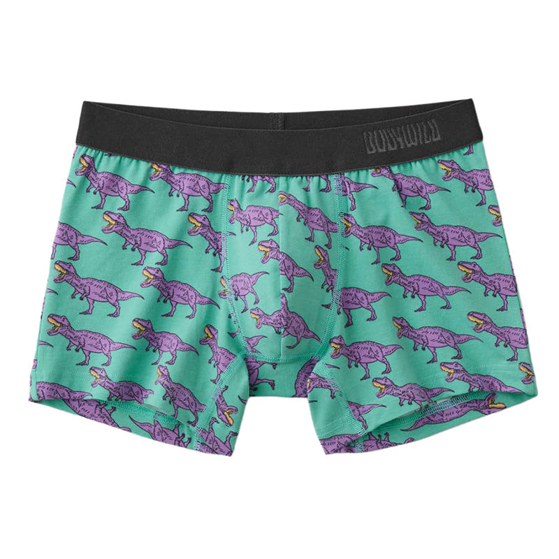ボディワイルド 綿 ベア天 ボクサーブリーフ メンズ 前閉じ グンゼ M L 下着 パンツ インナー 男性用 ボクサー 綿混 ストレッチ 快適 フィット おしゃれ グラフィック デザイン ブランド 人気 シンプル アンダーウェア デイリー ギフト プレゼント オールシーズン