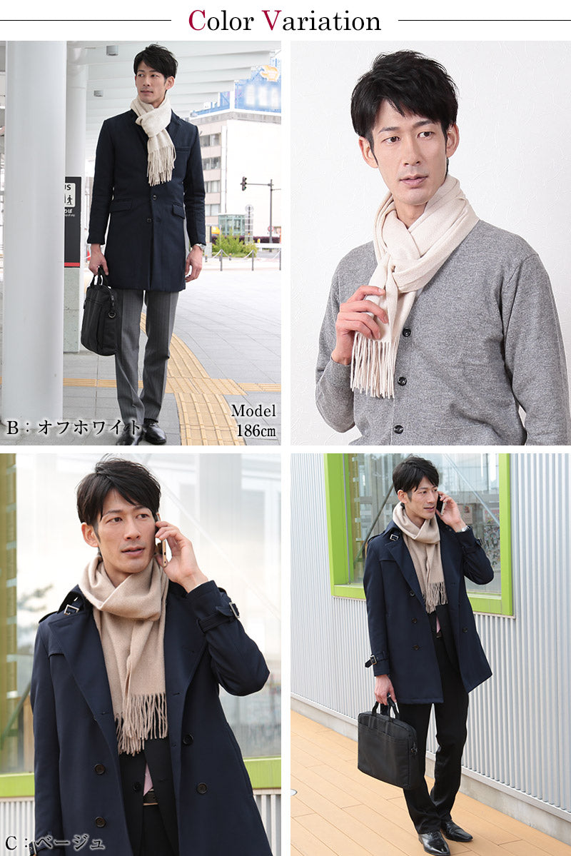 カシミヤ100% 織物無地マフラー メンズ フリーサイズ (カシミヤ マフラー カシミヤ100 カシミア 男 防寒 薄手 大判マフラー ギフト プレゼント arcadiarca) (送料無料) (在庫限り)