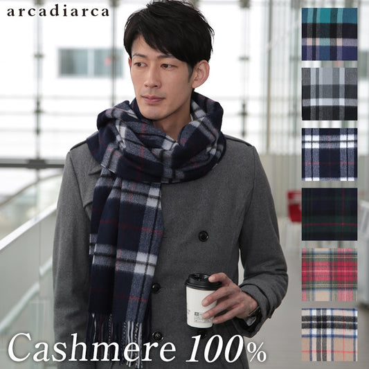 アルカディアルカ カシミヤ100% チェック柄ストール メンズ フリーサイズ (カシミア カシミヤ100% カシミア100% 大判マフラー 防寒 プレゼント バレンタイン クリスマス 秋冬) (送料無料) (在庫限り)