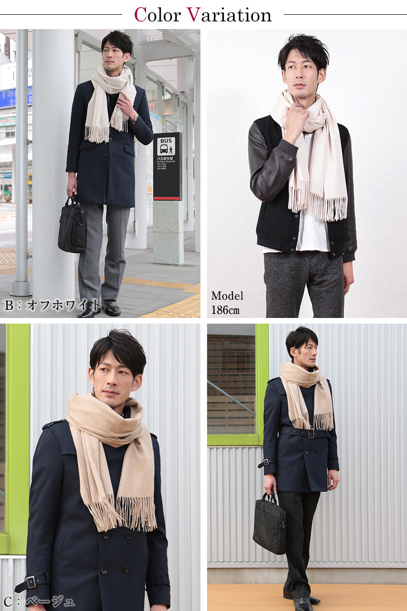 カシミヤ100% ストール 無地 メンズ 大判 マフラー カシミヤ カシミア フリーサイズ 冬 雑貨 ファッション 防寒 暖かい シンプル 男性 プレゼント 50代 60代 70代 ギフト クリスマス (送料無料) (在庫限り)