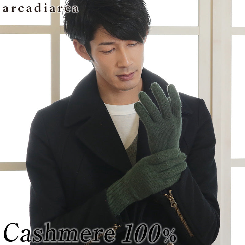 手袋 メンズ カシミヤ ニット フリーサイズ (防寒 暖かい カシミヤ100% 手ぶくろ グローブ カシミア 男性 無地 シンプル プレゼント ギフト arcadiarca) (在庫限り)