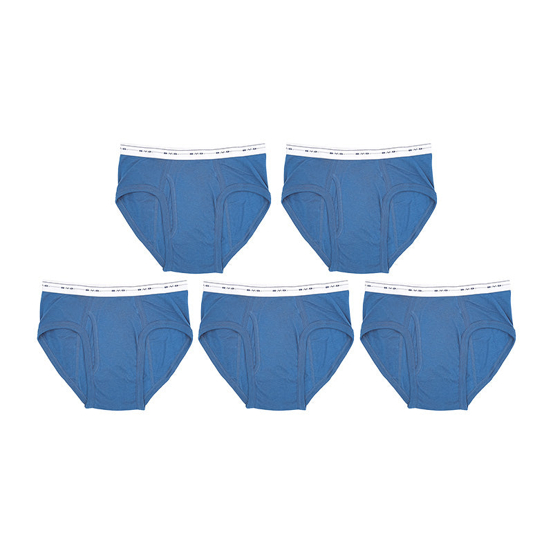 BVD ブリーフ ビキニ メンズ 下着 綿100% カラー 前開き 5枚セット M L LL bvd ビキニブリーフ 下着 インナー パンツ ショーツ セット 伸縮性 カラーブリーフ シンプル 快適 肌触り 柔らかい スタンダード おしゃれ 5枚組 ブルー グレー レッド ネ