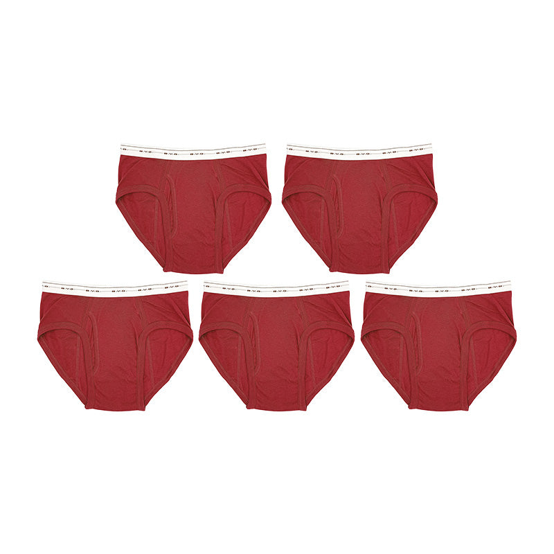 BVD ブリーフ ビキニ メンズ 下着 綿100% カラー 前開き 5枚セット M L
