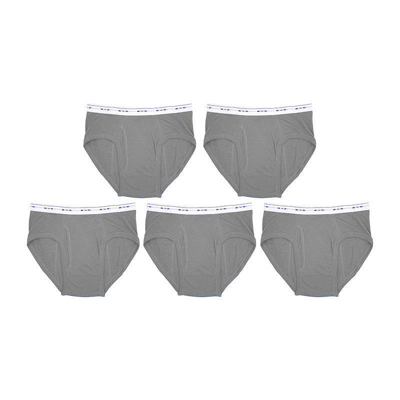 BVD ブリーフ ビキニ メンズ 下着 綿100% カラー 前開き 5枚セット M L LL bvd ビキニブリーフ 下着 インナー パンツ ショーツ セット 伸縮性 カラーブリーフ シンプル 快適 肌触り 柔らかい スタンダード おしゃれ 5枚組 ブルー グレー レッド ネ