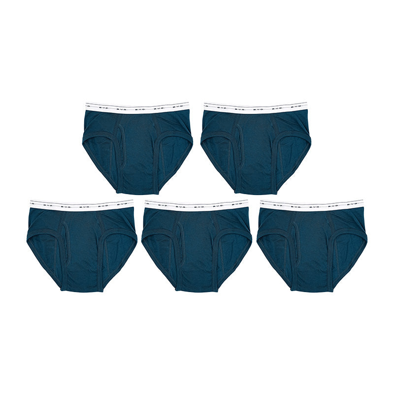 BVD ブリーフ ビキニ メンズ 下着 綿100% カラー 前開き 5枚セット M L LL bvd ビキニブリーフ 下着 インナー パンツ ショーツ セット 伸縮性 カラーブリーフ シンプル 快適 肌触り 柔らかい スタンダード おしゃれ 5枚組 ブルー グレー レッド ネイビー ブラック