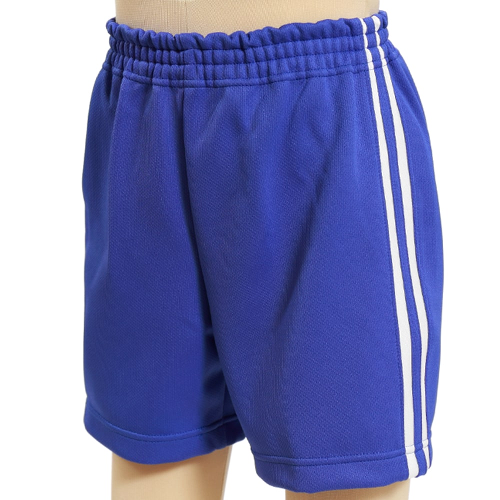 ギャレックス 体操服 クォーターパンツ 120cm・130cm Galax 体操着 ブルー 小学生 小学校 女の子 男の子 半ズボン (取寄 –  すててこねっと本店