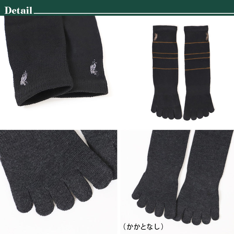 ビジネスソックス メンズ ソックス 5本指ソックス 紳士 POLO polo 25 26 27 cm 5本指 靴下 快適 フィット 無地 黒 ネイビー チャコール 仕事用 デイリー 普段使い プレゼント 父の日 ワンポイント