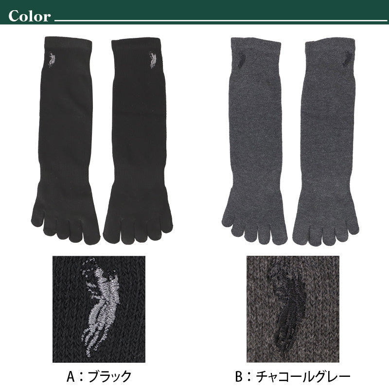 ビジネスソックス メンズ ソックス 5本指ソックス 紳士 POLO polo 25 26 27 cm 5本指 靴下 快適 フィット 無地 黒 ネイビー チャコール 仕事用 デイリー 普段使い プレゼント 父の日 ワンポイント