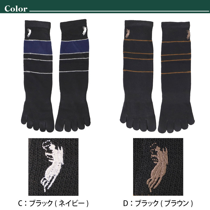 ビジネスソックス メンズ ソックス 5本指ソックス 紳士 POLO polo 25 26 27 cm 5本指 靴下 快適 フィット 無地 黒 ネイビー チャコール 仕事用 デイリー 普段使い プレゼント 父の日 ワンポイント
