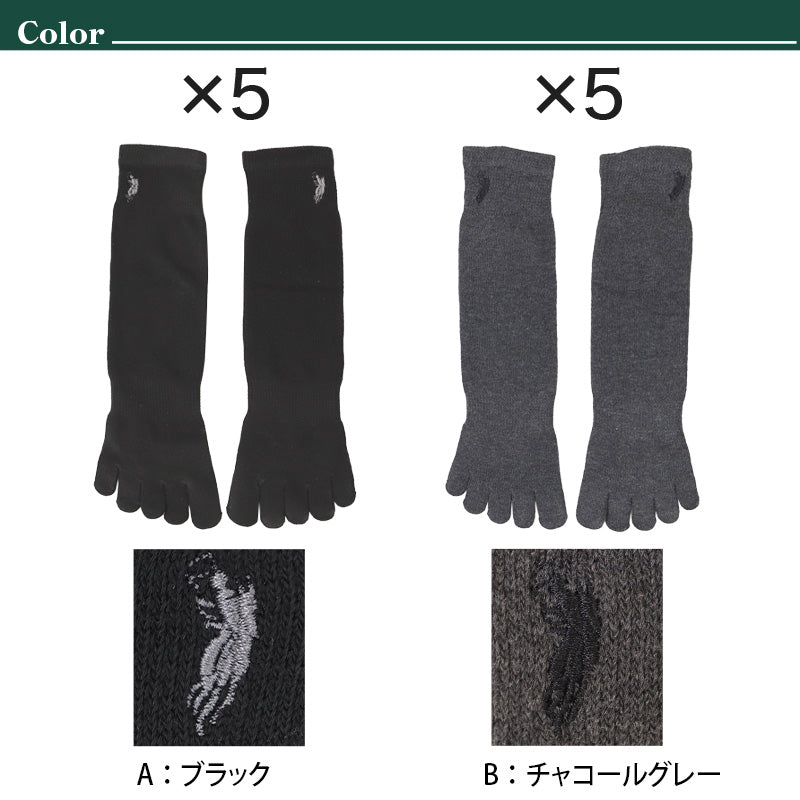 ビジネスソックス メンズ 5本指ソックス 紳士 POLO polo 5足セット 25 26 27 cm 5本指 ソックス 靴下 快適 フィット 無地 黒 ネイビー チャコール 仕事用 デイリー 普段使い プレゼント 父の日 ワンポイント 5足組 まとめ売り