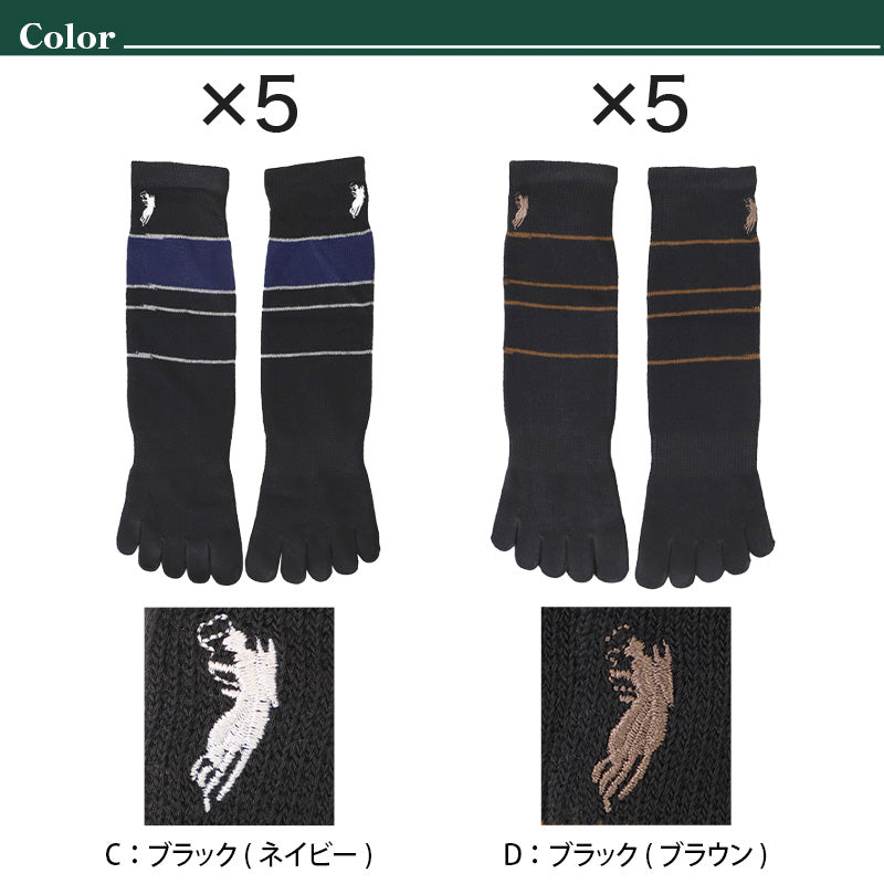 ビジネスソックス メンズ 5本指ソックス 紳士 POLO polo 5足セット 25 26 27 cm 5本指 ソックス 靴下 快適 フィット 無地 黒 ネイビー チャコール 仕事用 デイリー 普段使い プレゼント 父の日 ワンポイント 5足組 まとめ売り