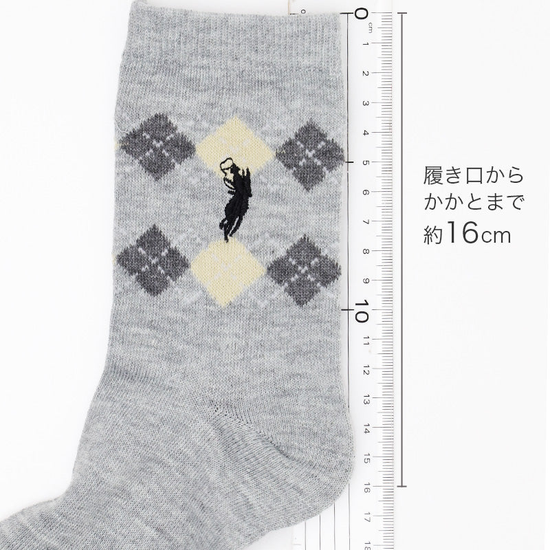 靴下 レディース クルーソックス POLO polo 22～24cm 快適 靴下 カラフル オールシーズン おしゃれ くつした カジュアル くつ下 通気性 伸縮 クルー丈 婦人靴下 可愛い
