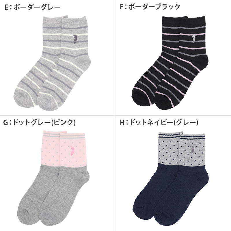 靴下 レディース クルーソックス POLO polo 22～24cm 快適 靴下 カラフル オールシーズン おしゃれ くつした カジュアル くつ下 通気性 伸縮 クルー丈 婦人靴下 可愛い